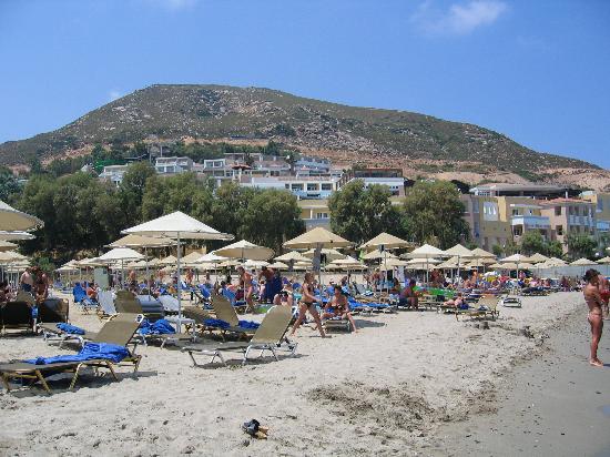A View of the Beach
